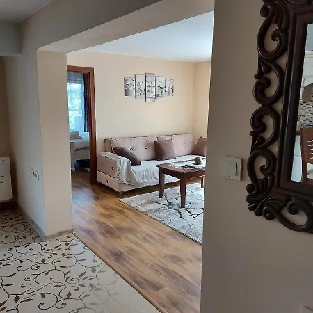 студио лидия *