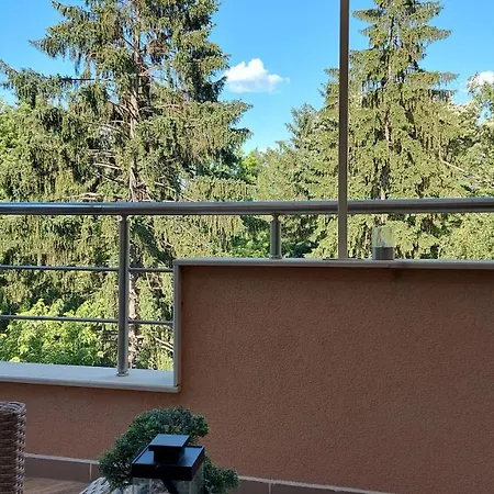 студио лидия Velingrad