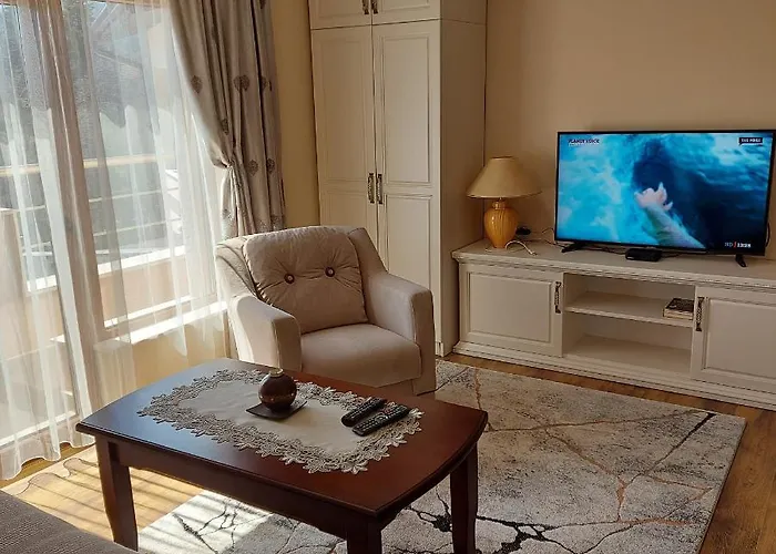 студио лидия