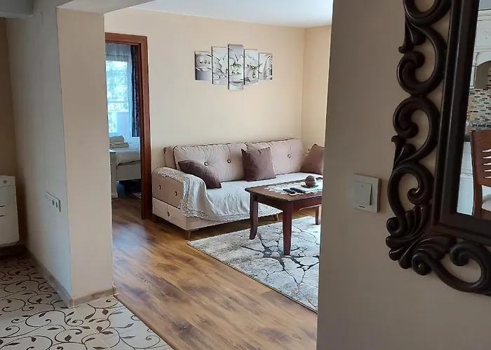 студио лидия *